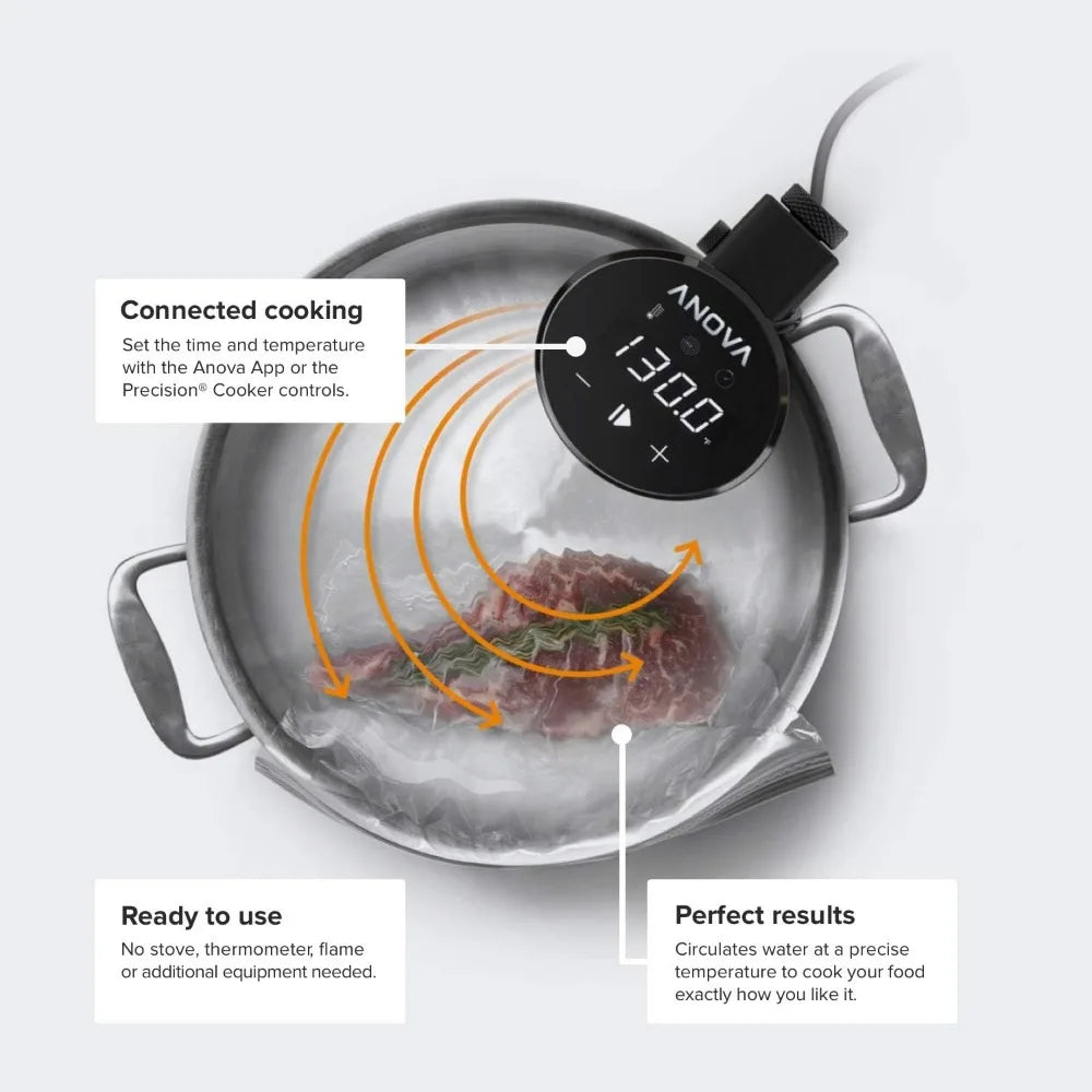 Sous Vide Precision Cooker 2.0 (WiFi)