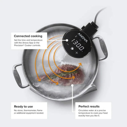 Sous Vide Precision Cooker 2.0 (WiFi)